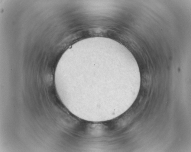 X0000088220324200706051329