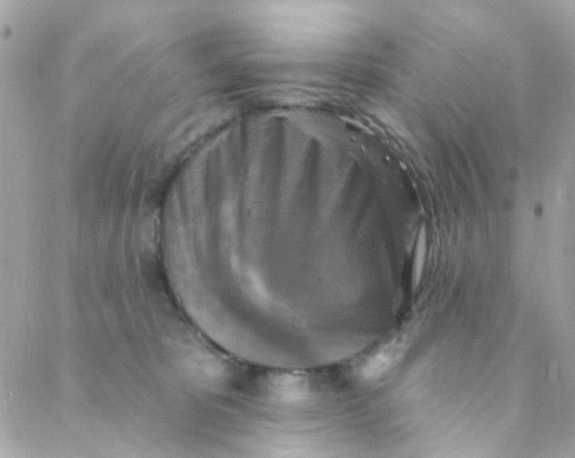 X0000088220325200706051329