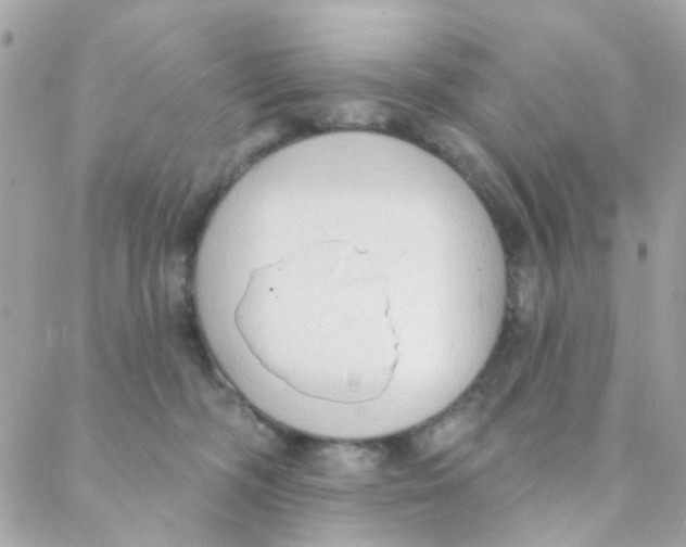 X0000088220326200706051329