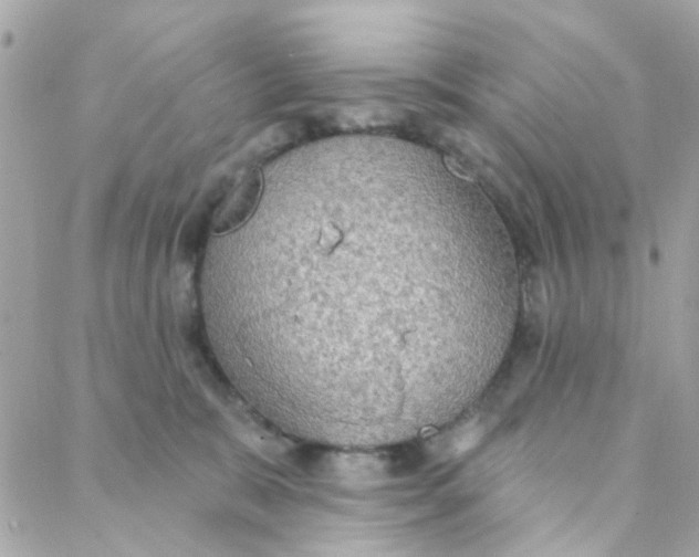 X0000088220327200706051329