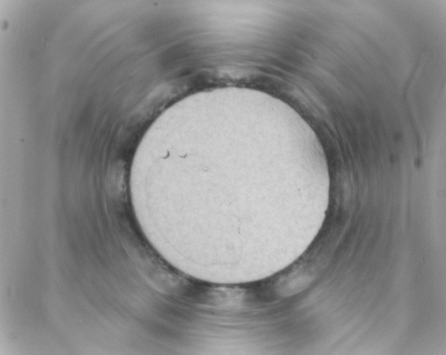 X0000088220328200706051329