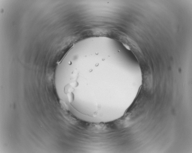 X0000088220329200706051329