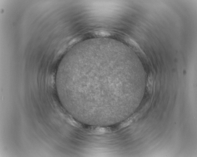 X0000088220330200706051329