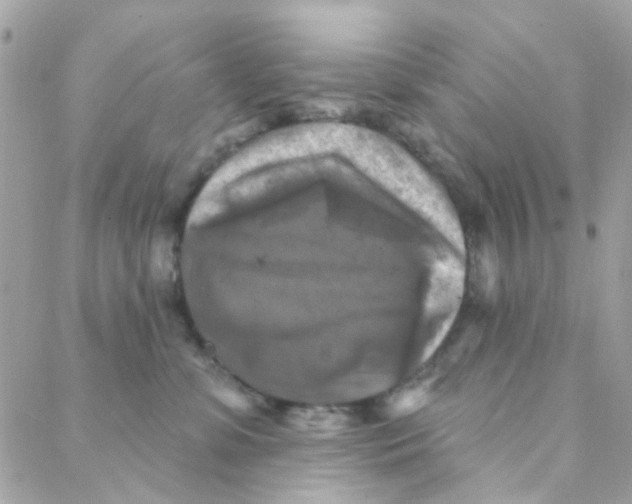 X0000088220331200706051329