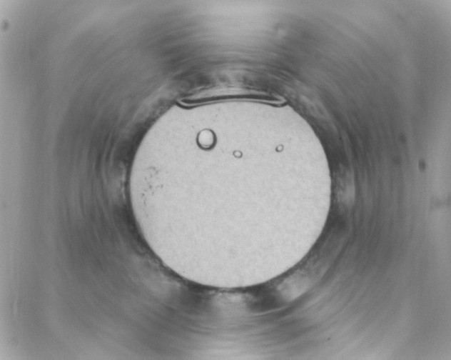 X0000088220332200706051329