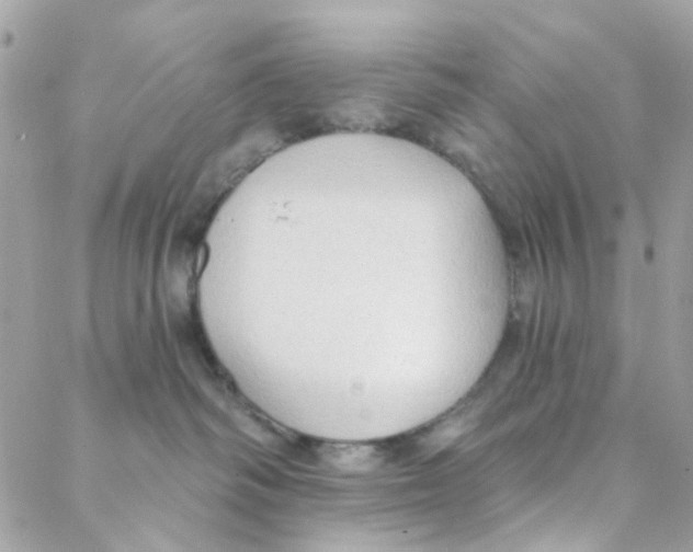 X0000088220334200706051329