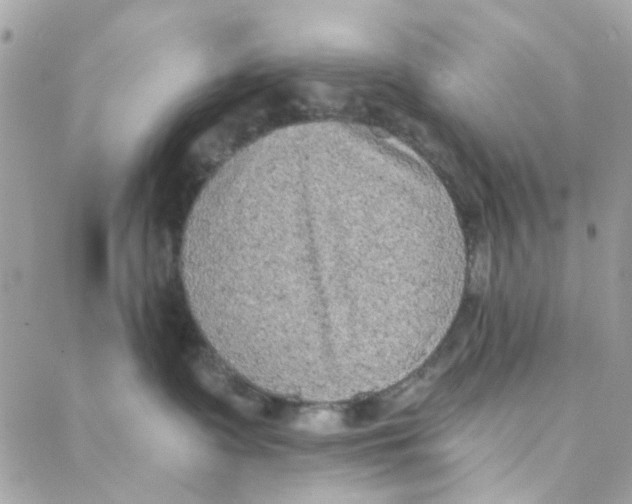 X0000088220335200706051329