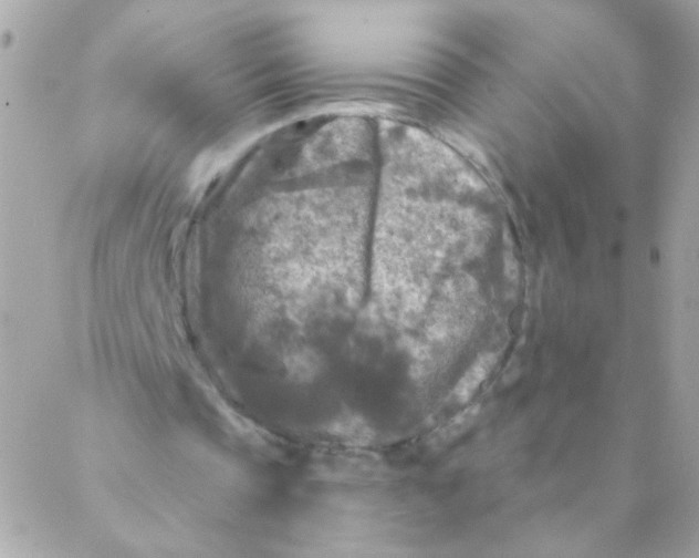 X0000088220337200706051328