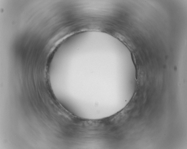 X0000088220338200706051328