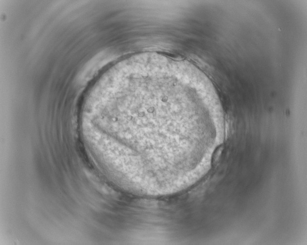 X0000088220339200706051328