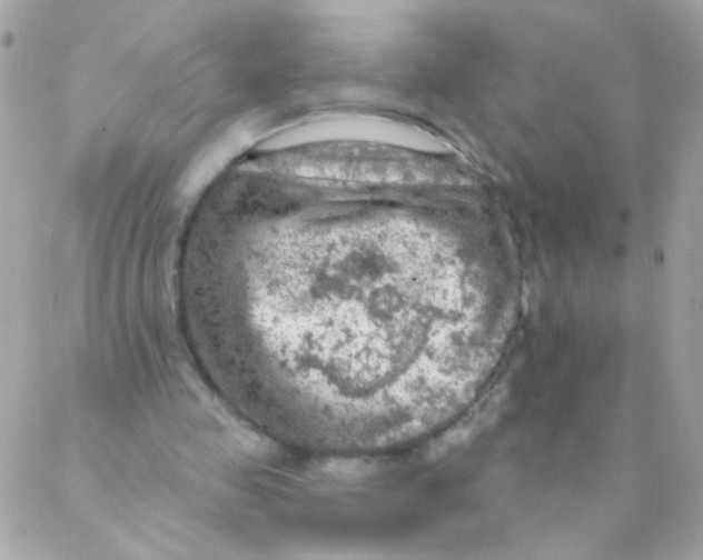 X0000088220341200706051328