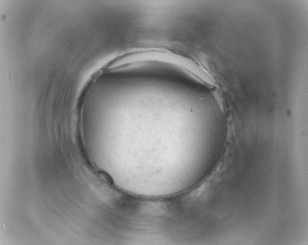 X0000088220342200706051328