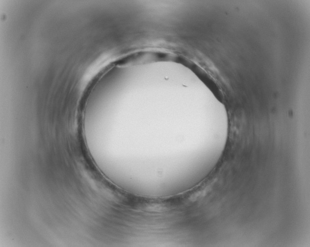 X0000088220344200706051328