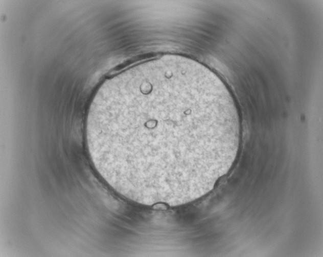 X0000088220345200706051328