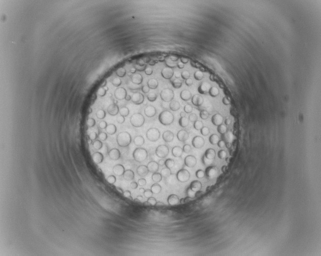 X0000088220346200706051328