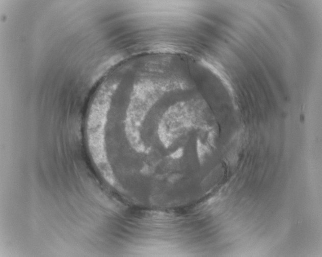 X0000088220347200706051328