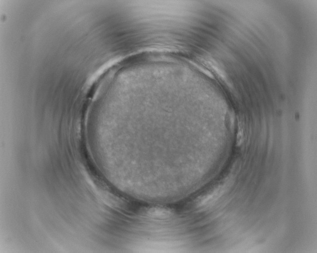 X0000088220348200706051328