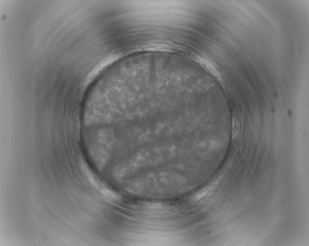 X0000088220349200706051328