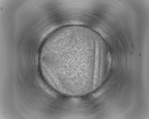 X0000088220350200706051328