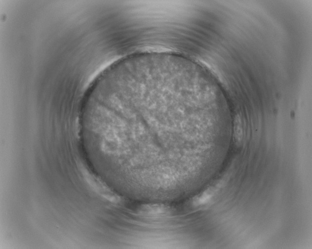 X0000088220351200706051328