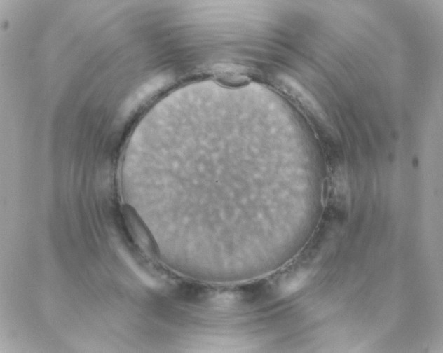 X0000088220352200706051328