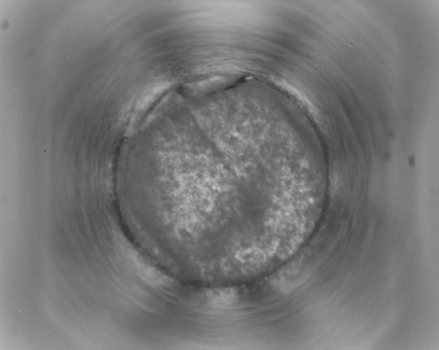 X0000088220353200706051328