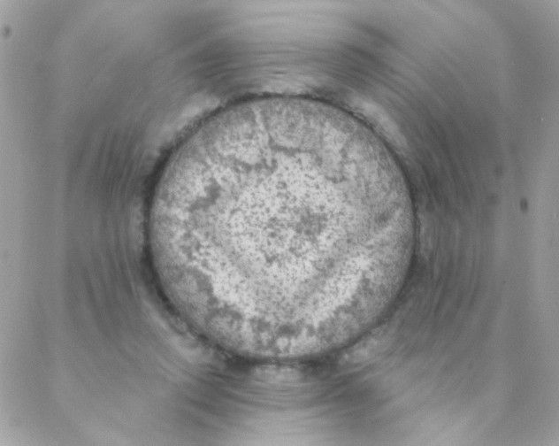 X0000088220354200706051328