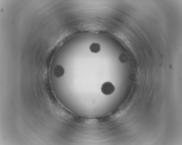 X0000088220355200706051328