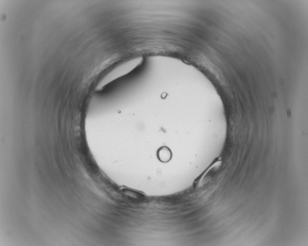 X0000088220356200706051328