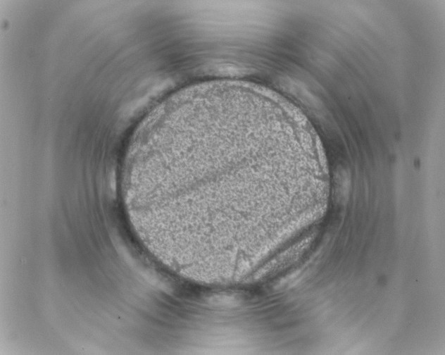 X0000088220358200706051328