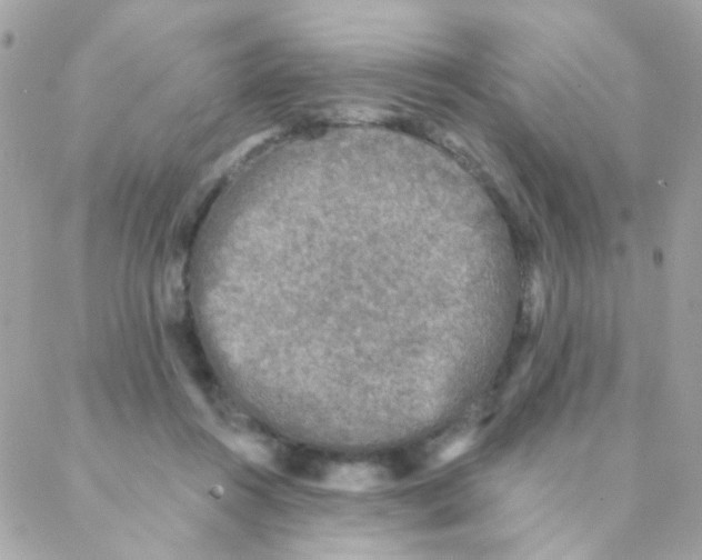 X0000088220360200706051328