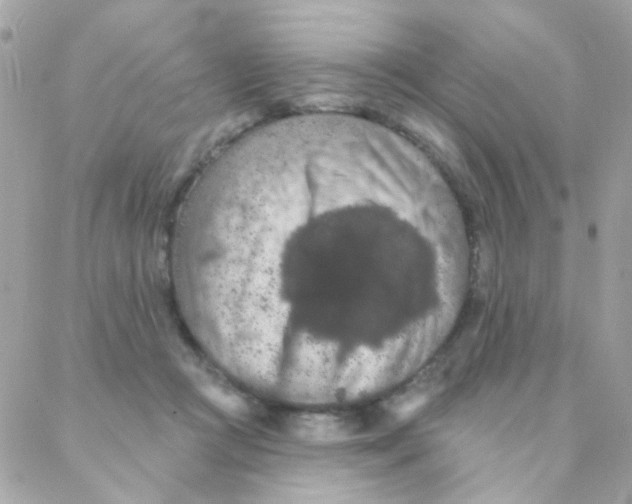 X0000088220361200706051328