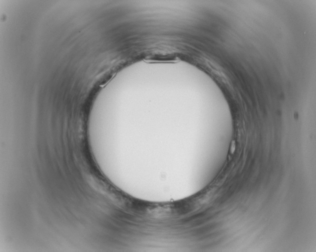 X0000088220362200706051328