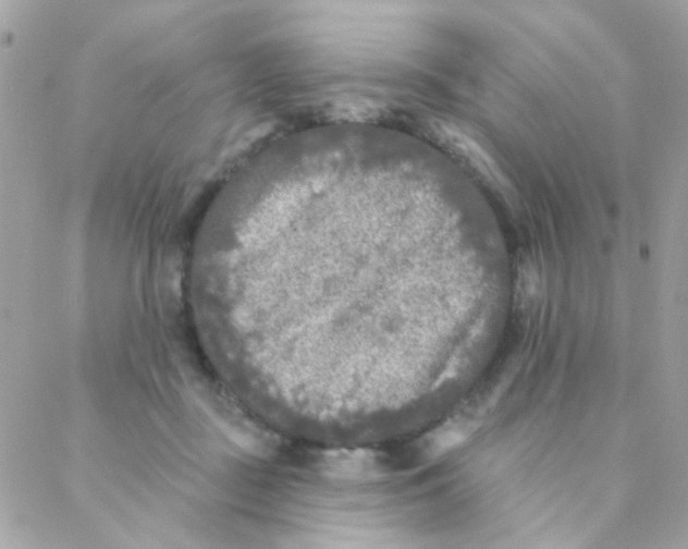 X0000088220363200706051328