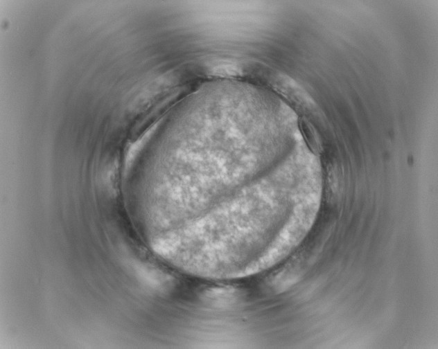 X0000088220364200706051328