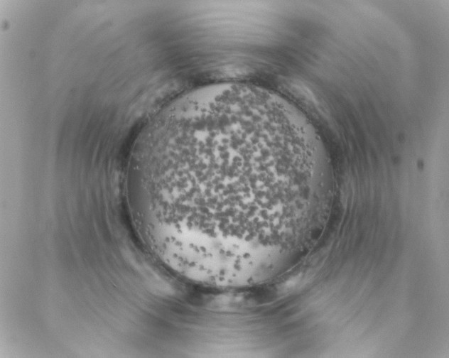 X0000088220366200706051328