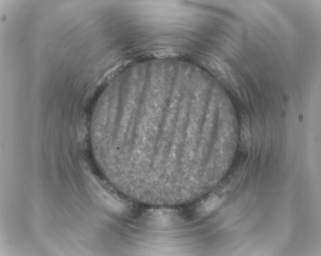 X0000088220367200706051328