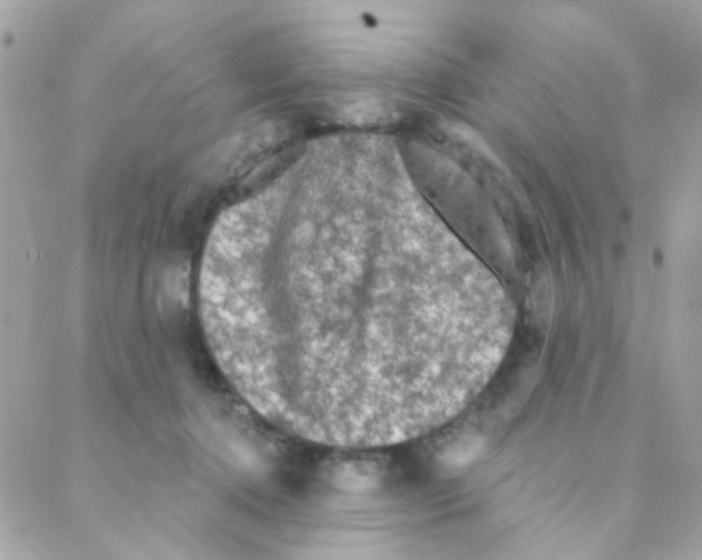 X0000088220368200706051328