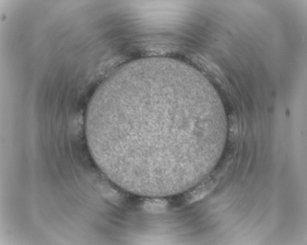 X0000088220369200706051328