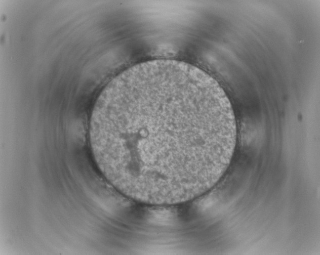 X0000088220370200706051328