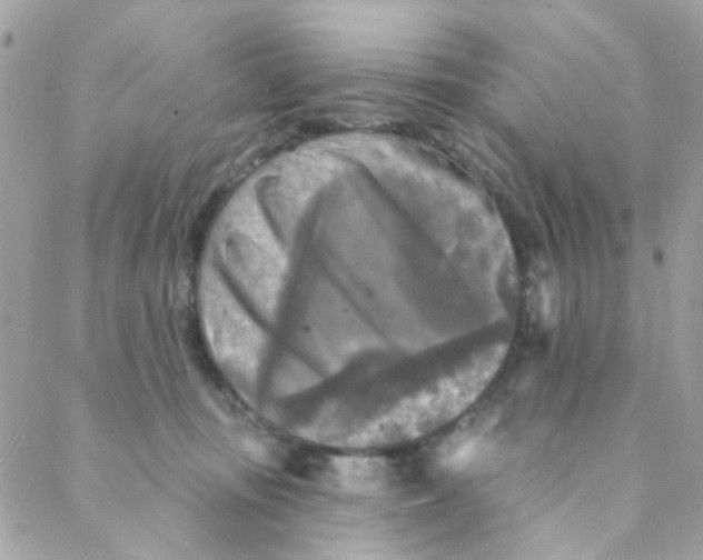 X0000088220371200706051328