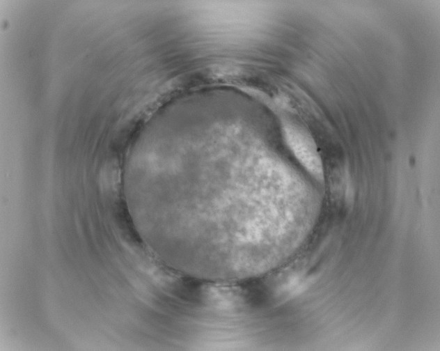 X0000088220372200706051328