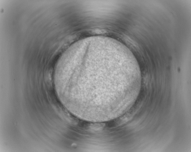 X0000088220373200706051328