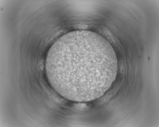 X0000088220374200706051328