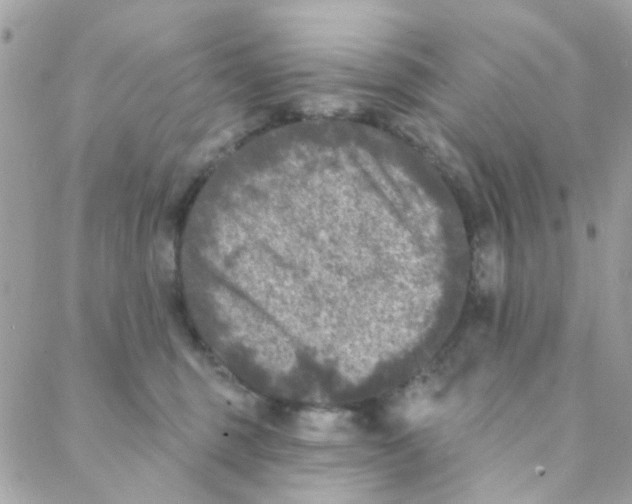 X0000088220375200706051328