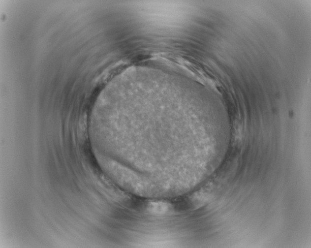 X0000088220376200706051328