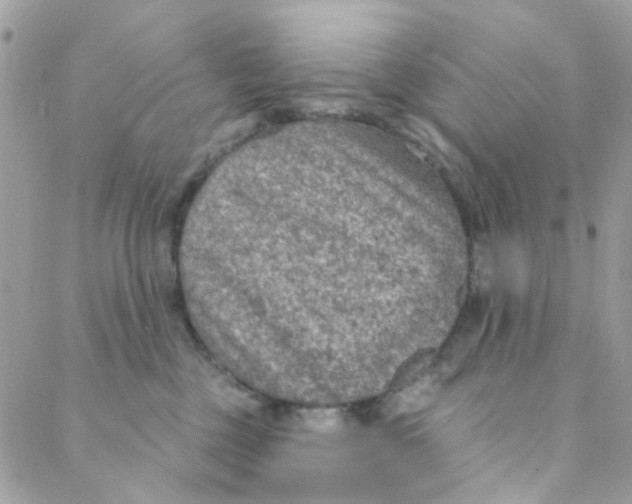 X0000088220377200706051328