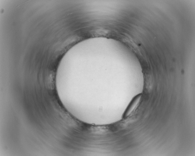 X0000088220378200706051329