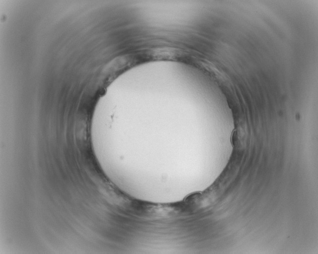 X0000088220379200706051329