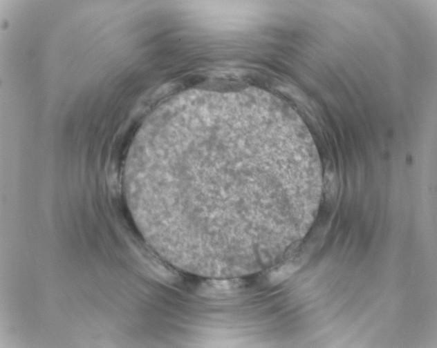 X0000088220381200706051329